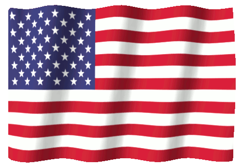 Contact Nerds 4 Software GLOBAL INC, USA